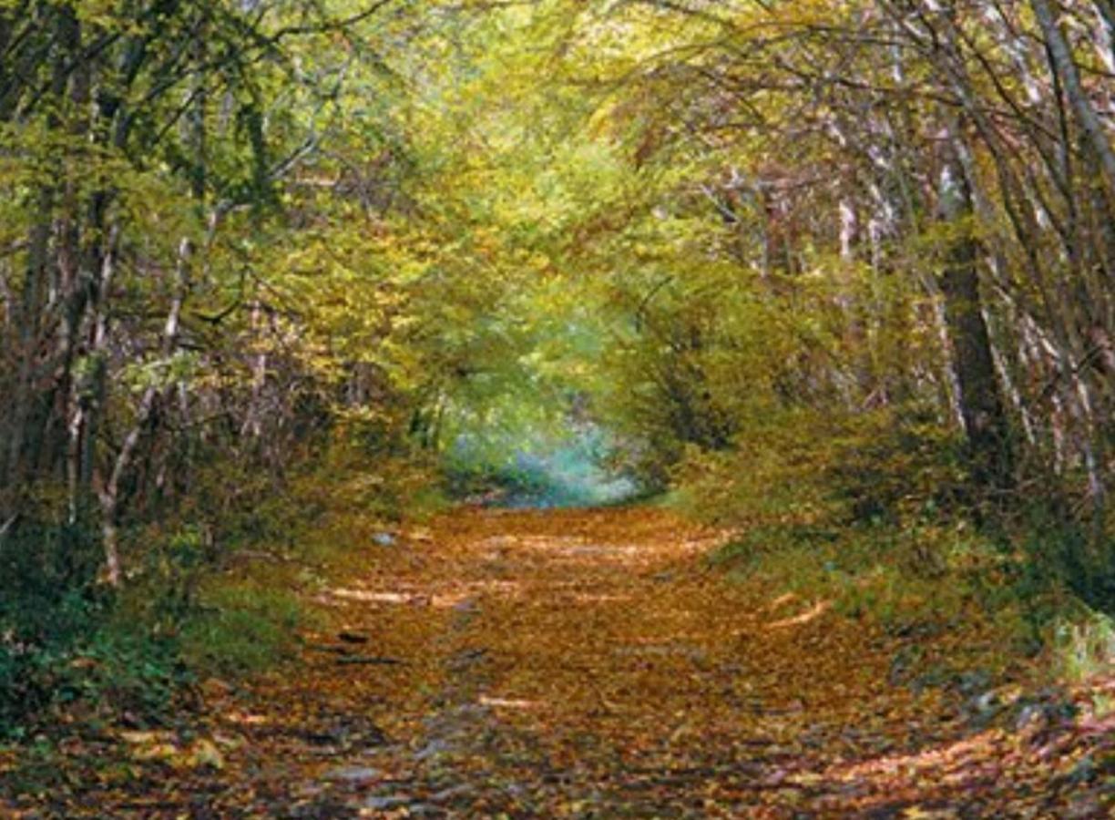 Kaiserwald Pula Eksteriør billede